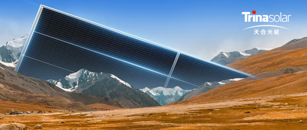 1.webp.png 1.webp.png