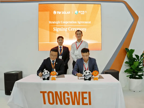 2.webp.png 2.webp.png