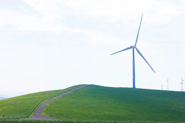 2.webp.png 2.webp.png